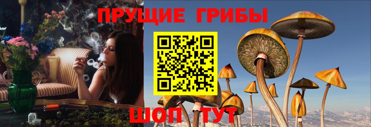 Псилоцибиновые грибы ЛСД Калуга